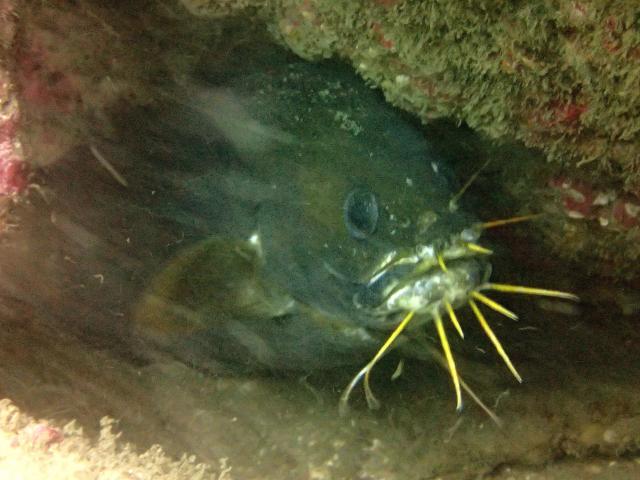 週末のような日でした〜！