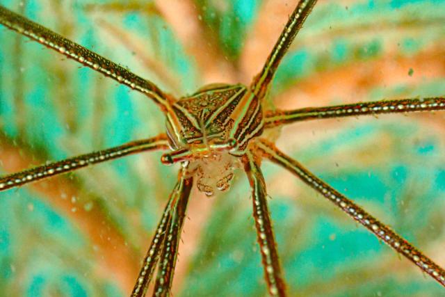 週末のような日でした〜！