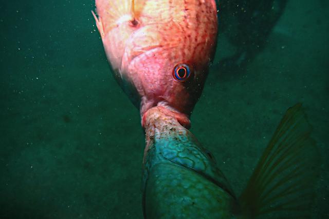 週末のような日でした〜！