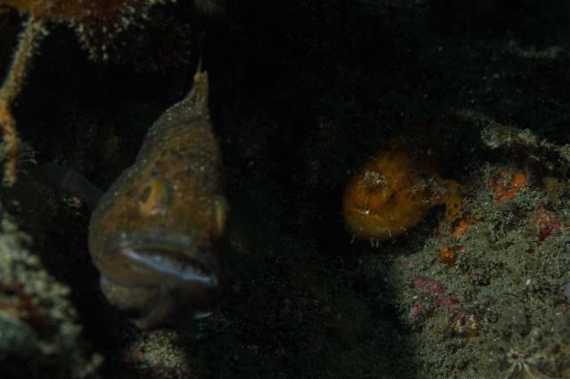 夏休み最後の日！！