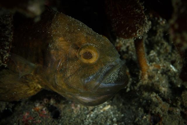 夏休み最後の日！！