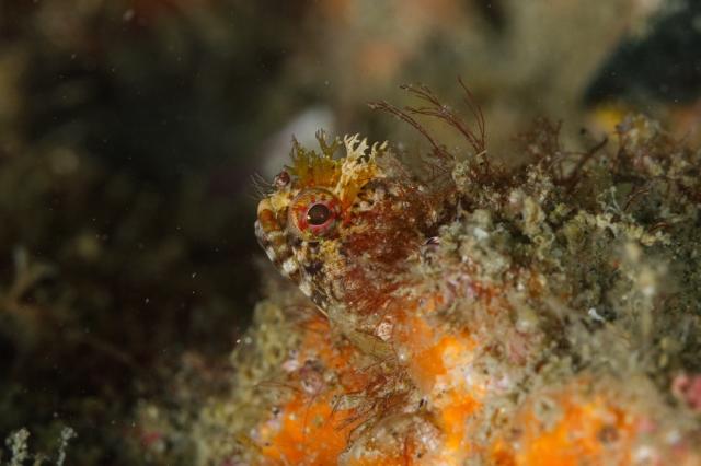 夏休み最後の日！！