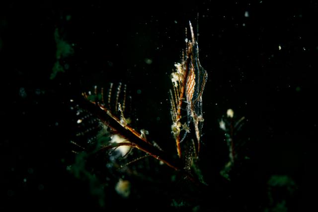 週明け&夏休み明け！