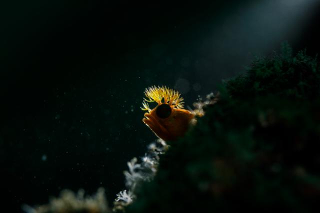 週明け&夏休み明け！