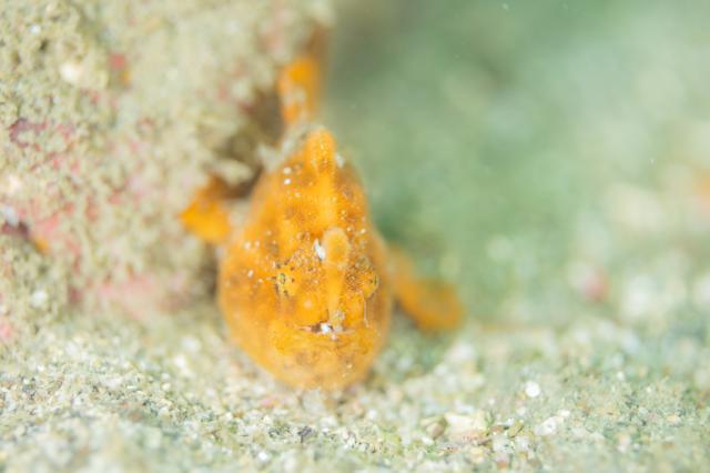 週明け&夏休み明け！