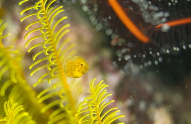 週明け&夏休み明け！