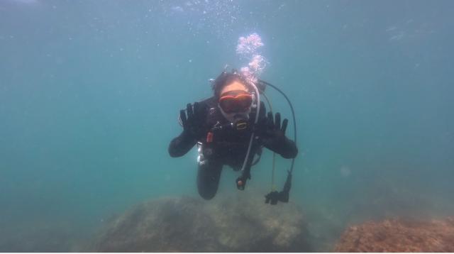 ファンダイビング、OW講習、シュノーケル、体験ダイビング！フルコースでした！