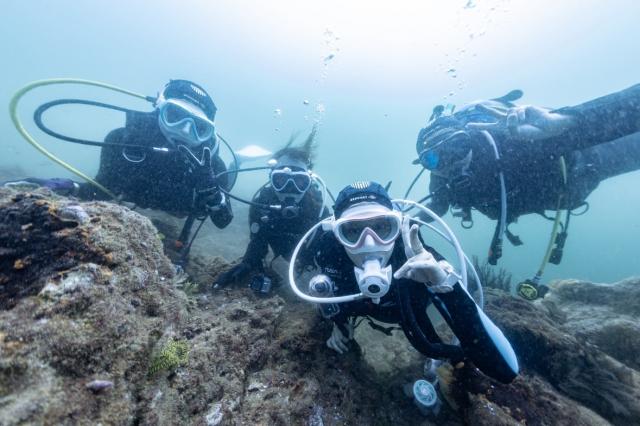 ファンダイビング、OW講習、シュノーケル、体験ダイビング！フルコースでした！