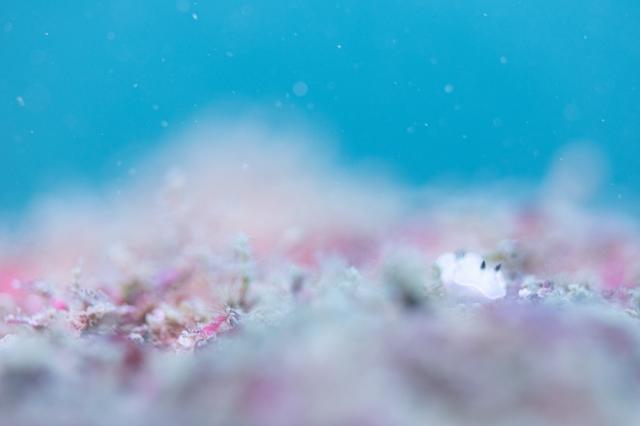 平日だけど、週末でした（笑）