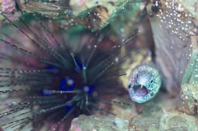 平日だけど、週末でした（笑）