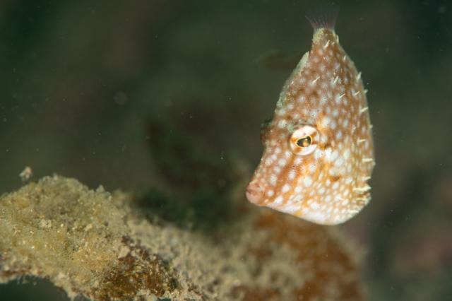 平日だけど、週末でした（笑）