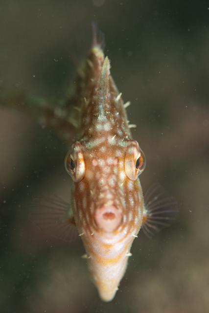 平日だけど、週末でした（笑）