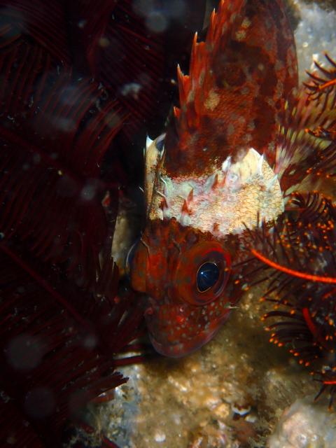 平日だけど、週末でした（笑）