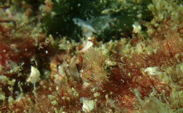 平日だけど、週末でした（笑）