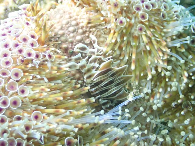 平日だけど、週末でした（笑）