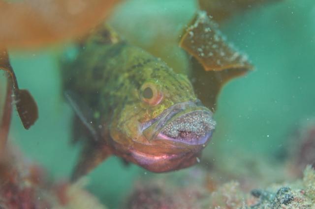 平日だけど、週末でした（笑）