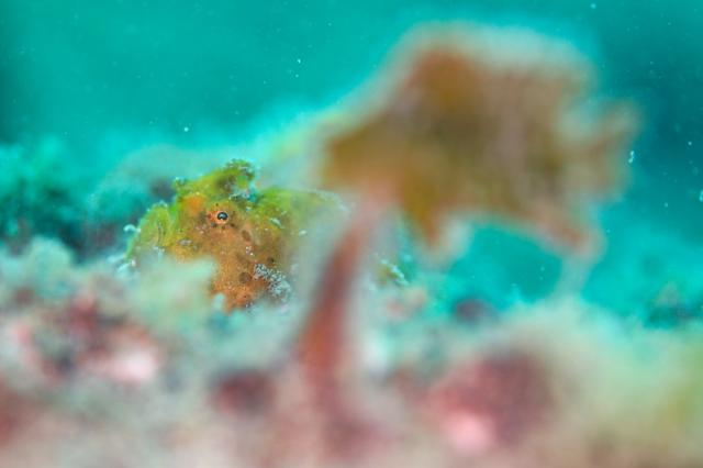 平日だけど、週末でした（笑）