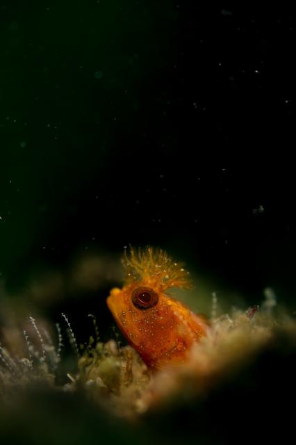 平日だけど、週末でした（笑）