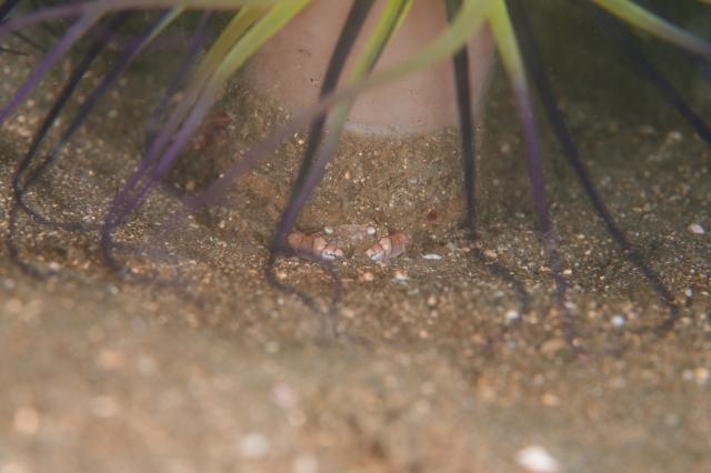 水温少し上がってきました」