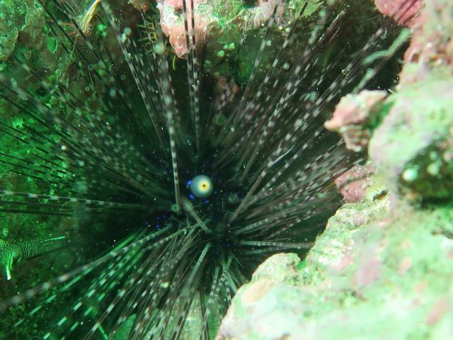 水温少し上がってきました」