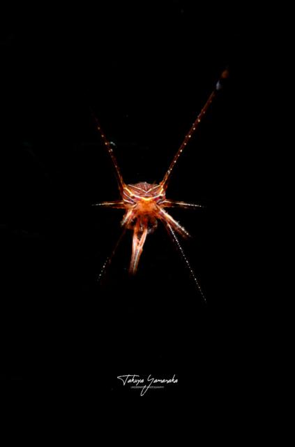 水温少し上がってきました」