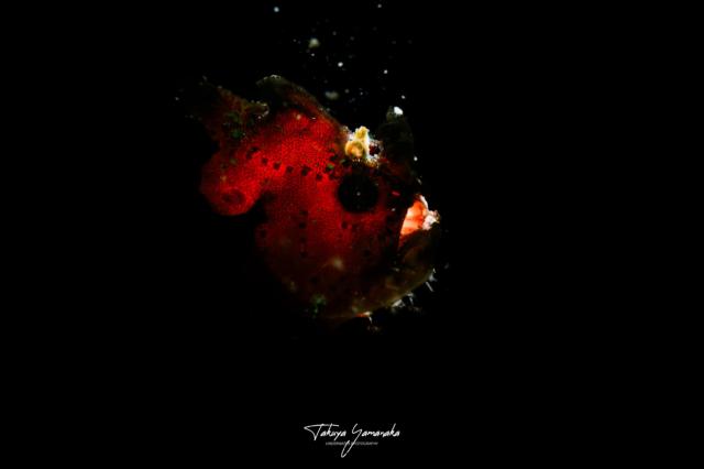 水温少し上がってきました」