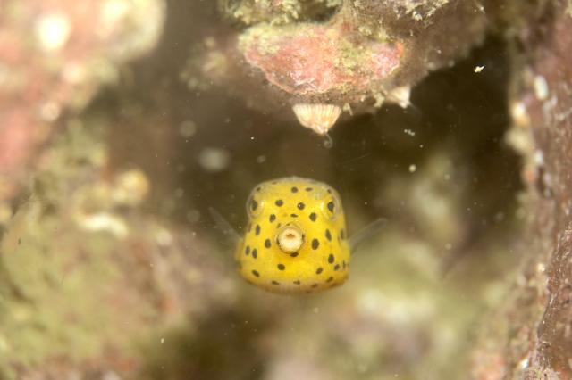 中村征夫さん＆卓哉さんイベント開催！
