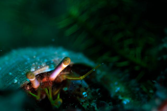 中村征夫さん＆卓哉さんイベント開催！