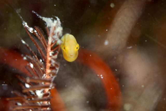中村征夫さん＆卓哉さんイベント開催！
