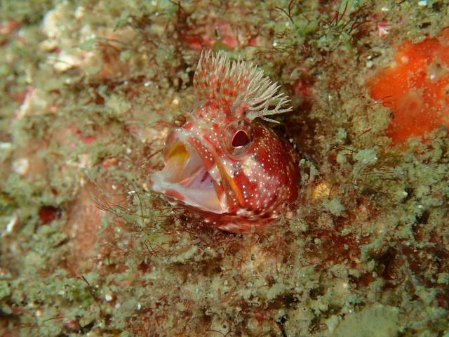 中村征夫さん＆卓哉さんイベント開催！