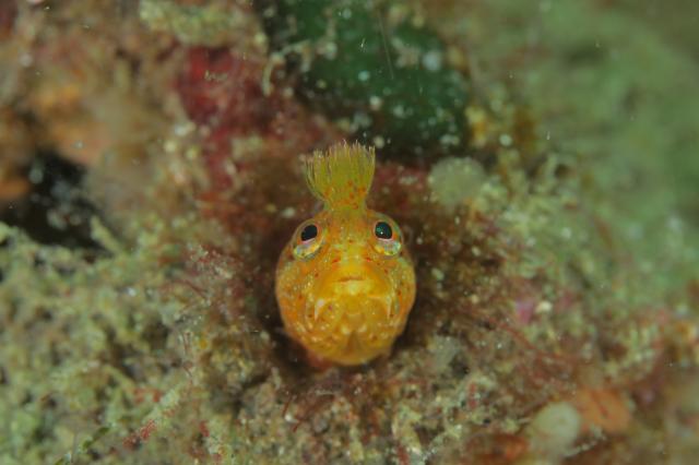 中村征夫さん＆卓哉さんイベント開催！