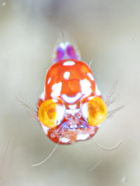 中村征夫さん＆卓哉さんイベント開催！