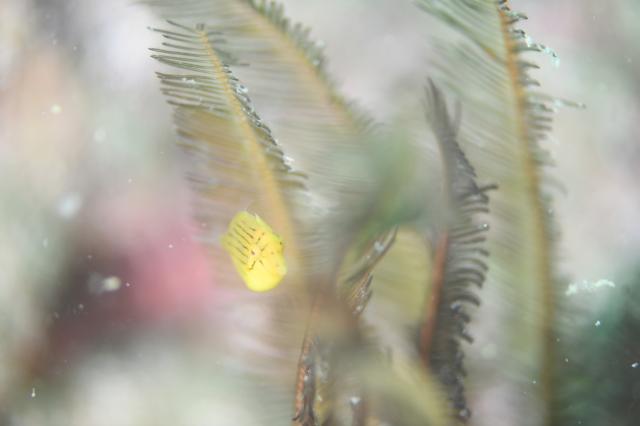 中村征夫さん＆卓哉さんイベント開催！