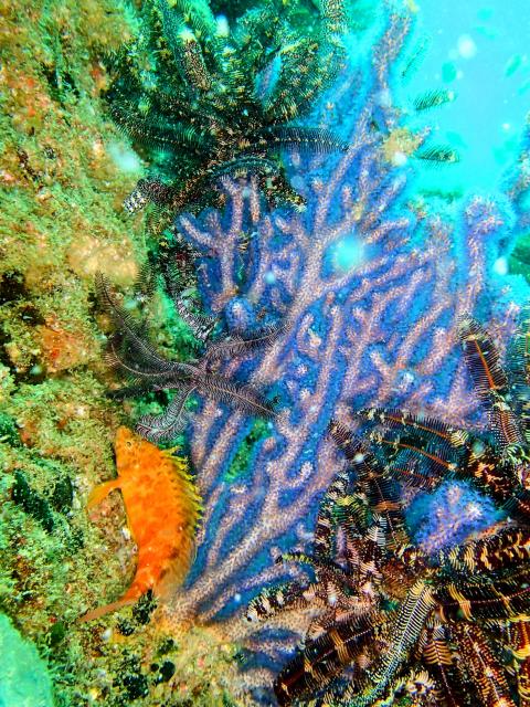 中村征夫さん＆卓哉さんイベント開催！