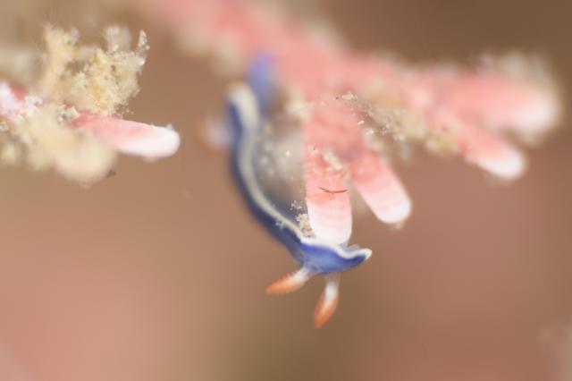 中村征夫さん＆卓哉さんイベント開催！