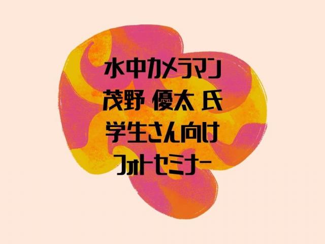 なんでこの透明度！？