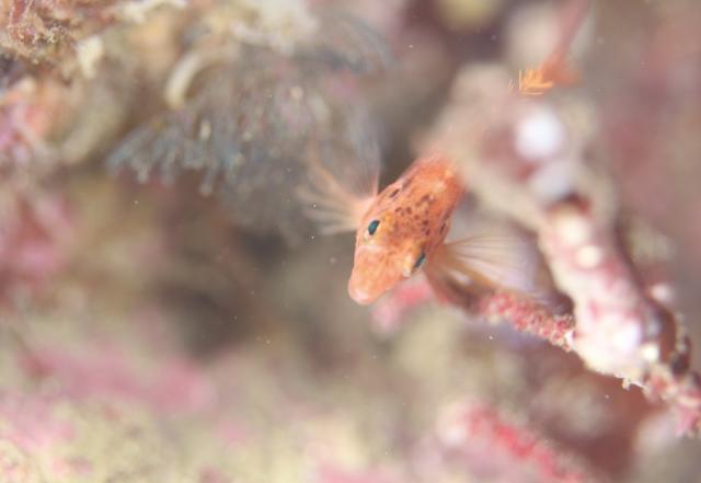 みんなで遠征！