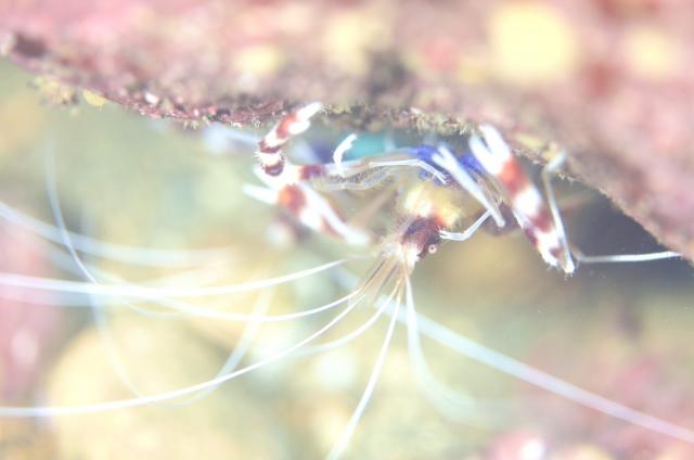 みんなで遠征！