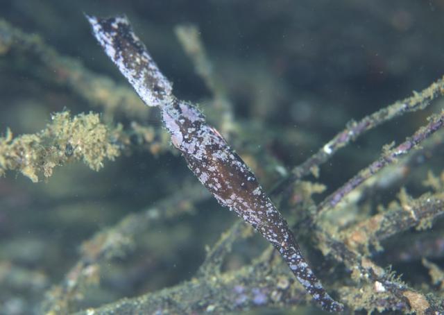 みんなで遠征！