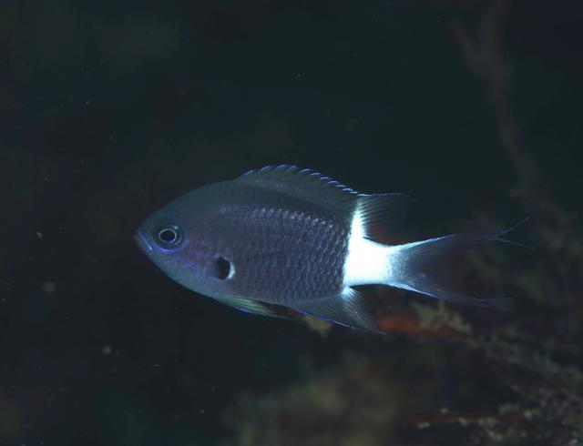 みんなで遠征！