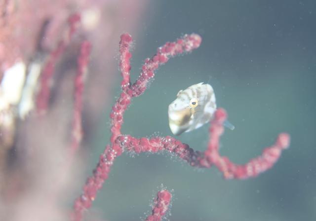 みんなで遠征！