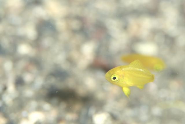 みんなで遠征！