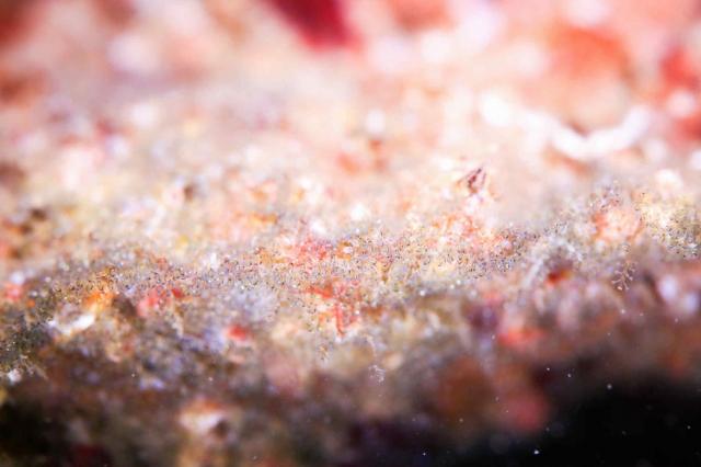 生憎のお天気ですが、なんとか降らずに〜☂️