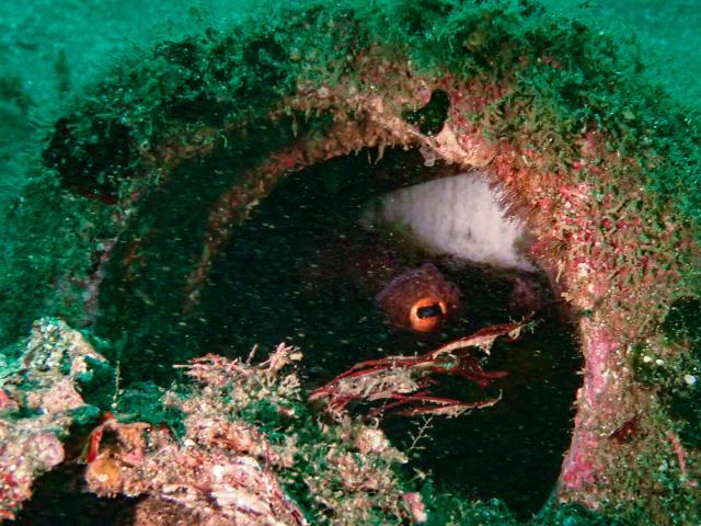 生憎のお天気ですが、なんとか降らずに〜☂️