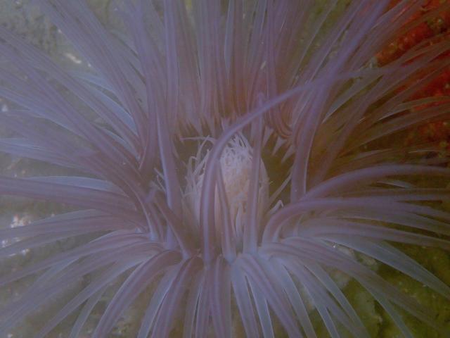 生憎のお天気ですが、なんとか降らずに〜☂️