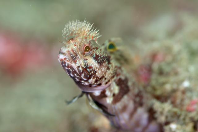生憎のお天気ですが、なんとか降らずに〜☂️