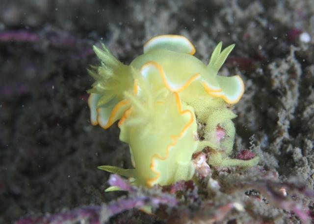生憎のお天気ですが、なんとか降らずに〜☂️