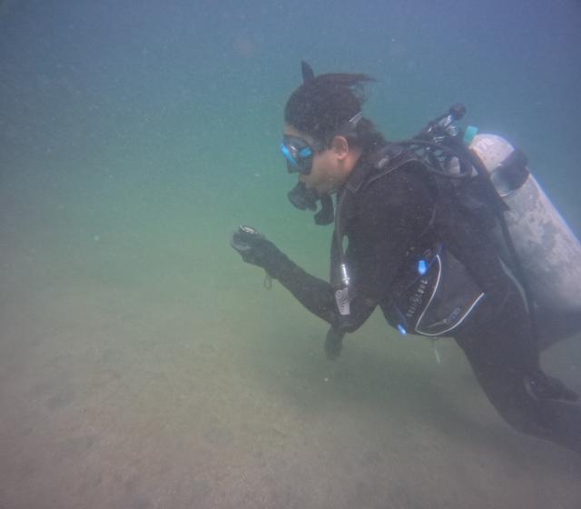 城ヶ島でレスキューと体験ダイビング！