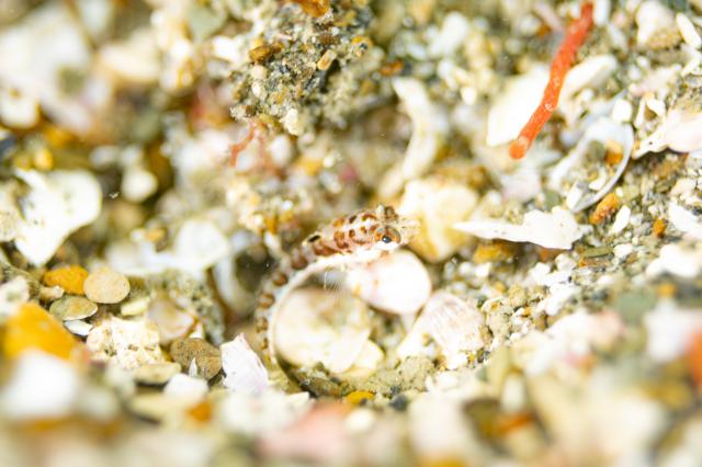 平日はのんびり！