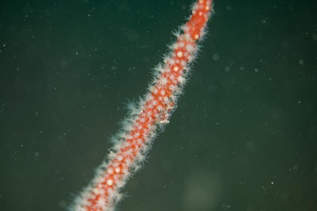 平日はのんびり！